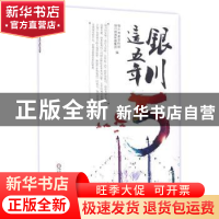 正版 银川这五年 银川市委宣传部,银川新闻传媒集团编 宁夏人民