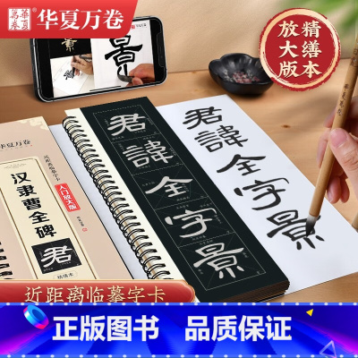 [正版]汉隶曹全碑字帖 近距离临摹字卡入门放大版全文高清 学生成人初学者汉隶隶书教程教科书法毛笔字帖临摹本 扫码看影片教