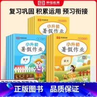 语文-人教版 一升二 [正版]2024暑假作业一二三四五六年级下册语文数学英语全套人教版暑假衔接小学下学期一升二升三升四