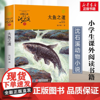 大鱼之道 升级版 沈石溪动物小说正版品藏书系 小学生三年级四年级课外书7-8-9-10岁寒暑假课外书阅读浙江少年儿童出版
