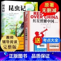 本红星+昆虫+考点 [正版]红星照耀中国昆虫记 八年级课外阅读