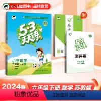 六年级下 数学(苏教版) [正版]2024新版53天天练六年级下册数学苏教版SJ小学5.3天天练6年级数学下册课堂同步练