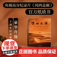 河西走廊 《河西走廊》摄制组 全彩高清图 央视高分纪录片图书 梳理河西走廊两千年历史脉络 文案之神 作文必备 果麦文化