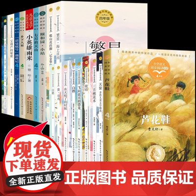 四年级下册课外书读语文课本同步阅读书籍芦花鞋白鹅丰子恺猫老舍曹宝葫芦的秘密张天翼著巨人的花园诺曼底号遇难记