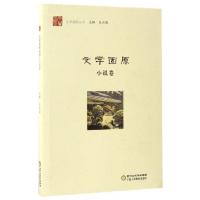 正版新书]文学固原(小说卷)/文学固原丛书王正儒9787554414378