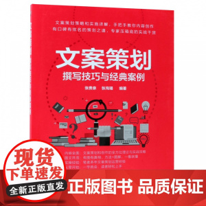 文案策划(撰写技巧与经典案例)