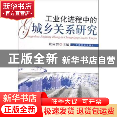 正版 工业化进程中的城乡关系研究 段应碧主编 中国农业出版社 97