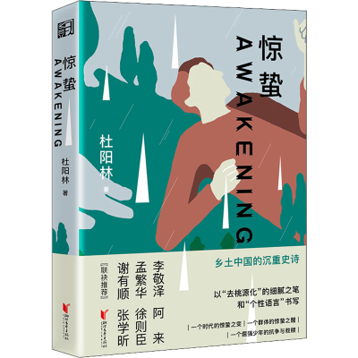 正版新书]惊蛰杜阳林9787533965099