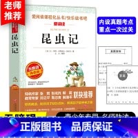昆虫记 [正版] 昆虫记法布尔原著完整版 三四年级课外书青少年版初中小学生五六八年级课外阅读全册书目上册学生版下册 两种