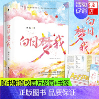 [正版]白日梦我小说随书精美赠品栖见著 玫瑰挞桃枝气泡同作者 桀骜校霸vs外刚内柔的颓废少女校园青春言情小说书店