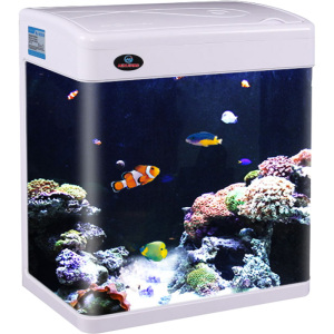 闽江鱼缸水族箱客厅桌面小型小鱼缸金鱼缸玻璃懒人免换水生态造景