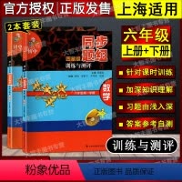 六年级数学(上+下) 初中通用 [正版]初中四星级同步题组训练与测评 数学 六七八年级上册下册/6789年级第一二学期九