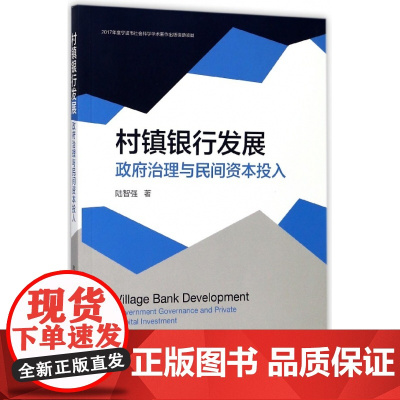 村镇银行发展(政府治理与民间资本投入)