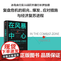 在风暴中心:冰岛的崩溃和惊人的复苏