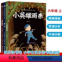 [正版]快乐读书吧 六年级上册全套3册小英雄雨来童年爱的教育6上名著阅读课外阅读书 小学生课外儿童文学名著书籍快乐阅读