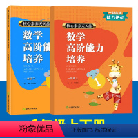 1年级上下2册 小学通用 [正版]数学高阶能力培养 一二三四五六年级上下册 核心素养天天练 课时作业本小学生课堂训练课前