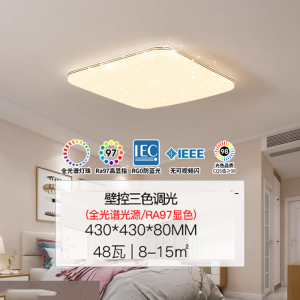 雷士照明NVC 全光谱护眼吸顶灯语音智能遥控吸顶灯客厅灯卧室灯吊灯灯具套餐浪漫满天星现代简约灯具客厅吸顶灯组合