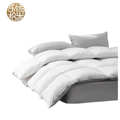 东纺拾光DF3017防羽布被芯被子550g羽丝绒超细纤维200*240cm(计价单位:条)白色