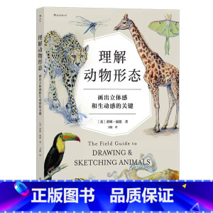 [正版]赠素描本 理解动物形态 画出立体感和生动感的关键 从零学习各物种的肌肉解剖和骨骼系统 动物绘画教程