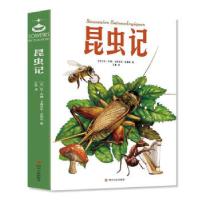 正版新书]昆虫记(法)让-亨利·卡西米尔·法布尔 著;王蒙 译978