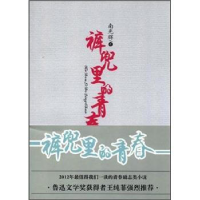 正版新书]裤兜里的青春南光辉9787540227715