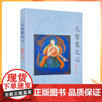 正版 大智慧之心《金刚经》所说的菩萨及其修行 韩金英/绘著 团结出版社