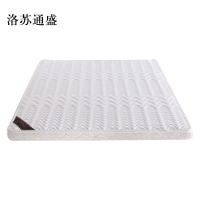 洛苏通盛椰棕床垫家用棕垫B10cm厚(防螨针织+2cm乳胶+0胶水天然椰棕)1000mm*2000mm