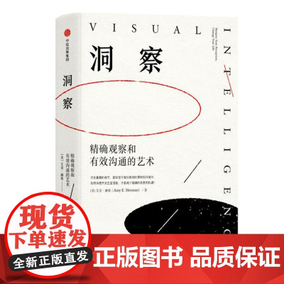 洞察 精确观察和有效沟通的艺术 艾美赫曼 著 洞察的艺术 TED演讲点击破3000万次 发现隐藏于表象之下的事物 中信出