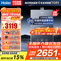 海尔(Haier)16升燃气热水器天然气双循环零冷水储热恒温舱五段微火控温密闭稳燃舱JSQ31-16KN7SFRAGU1