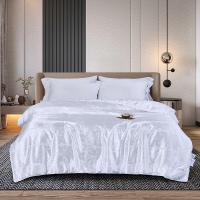 唐纳家纺 真丝提花蚕丝被 200*230cm/2500g- TN-SAQ21039