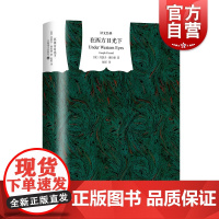 在西方目光下 译文经典精装约瑟夫康拉德文学名著被视为陀思妥耶夫斯基罪与罚姊妹篇上海译文出版社外国小说另著黑暗之心/吉姆老