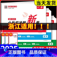 [浙江适用]英语 小学升初中 [正版]浙江适用2025版小升初冲刺新卷语文数学英语人教版六年级下册小学六年级下册试卷测试