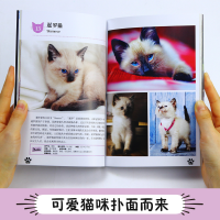 [M]小猫-9787553209760