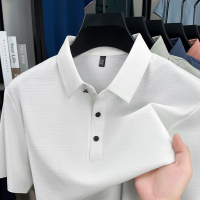 2025短袖男翻领条纹中年男士轻熟休闲夏季薄款半袖polo衫男