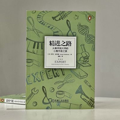 精进之路:从新手到大师的心智升级之旅