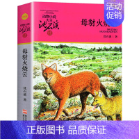 母豺火烧云 [正版]雄狮去流浪沈石溪小学四年级五年级全集全套书浙江少年儿童出版社非注音版完整版动物小说大王品藏书系生课外