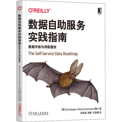 正版新书]数据自助服务实践指南 数据开放与洞察提效(美)桑迪普·