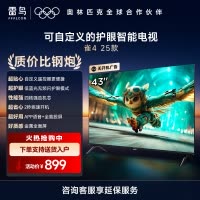 雷鸟雀4 25款43英寸4K 高清智能网络WiFi语音低蓝光认证液晶平板电视机43F195C