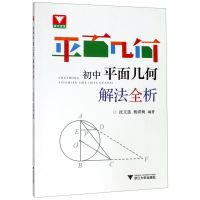 [N]初中平面几何解法全析-9787308193719