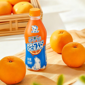 北冰洋桔汁汽水300ML*12PET瓶老北京碳酸饮料