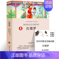 红楼梦 [正版]八十天环游地球凡尔纳著小学生版环游世界80天小学生四五六年级必读课外阅读书籍4-5-6年级青少年科幻小说