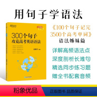 300个句子攻克高考英语语法 全国通用 [正版]2024新版抖音同款新东方300个句子攻克高考英语语法 高中英语备考20