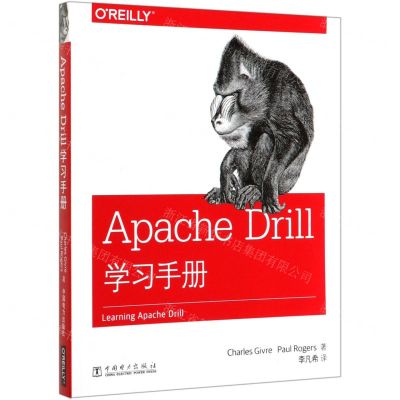 [N]Apache Drill学习手册-9787519843984