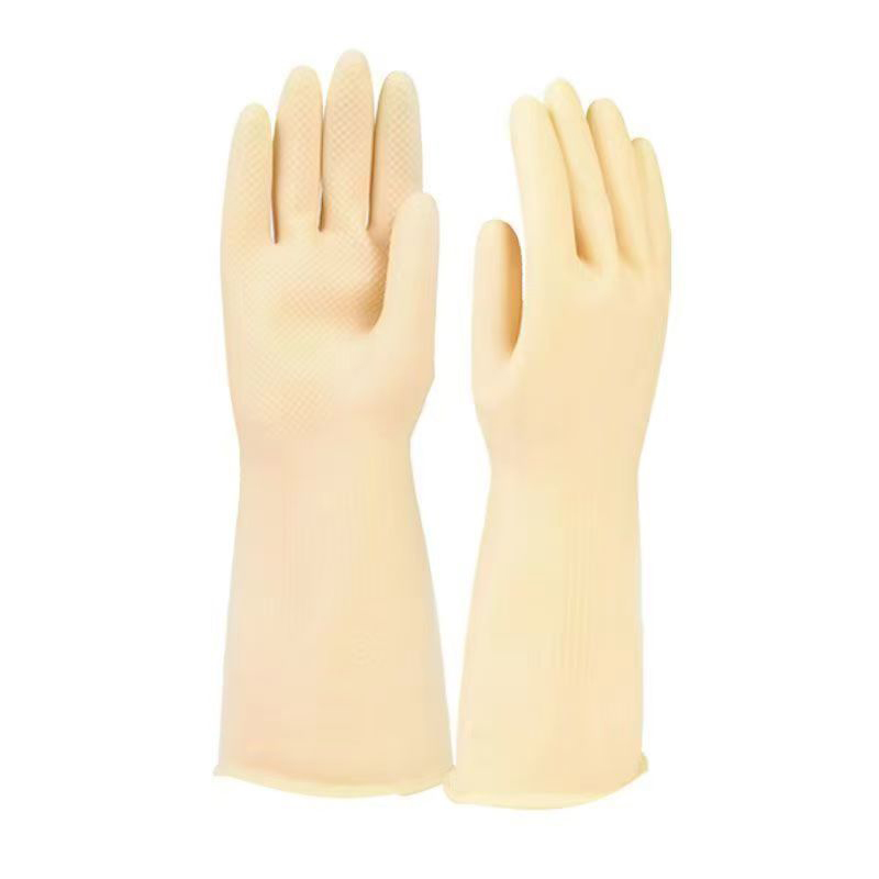 欧立特 乳胶手套 HO2669