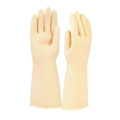 欧立特 乳胶手套 HO2669