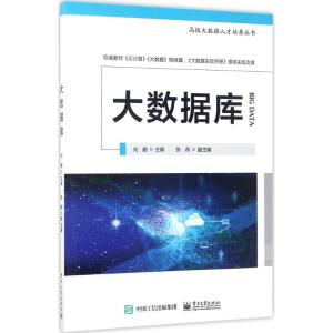 [M]大数据库-9787121316197