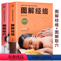 [正版]穴位图人体经络穴位图解大全书 全套2册 图解经络+图解取穴 灸取穴图解彩图取穴方法取穴技巧速记针灸书籍 人体经