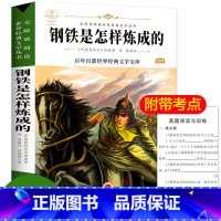 [正版]钢铁是怎样炼成的原著初中生无障碍阅读7-9-12岁青少年版儿童文学书籍小学生三年级四年级课外书必读五六年级