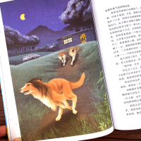 [M]灵犬莱西/国际大奖儿童文学-9787502074487