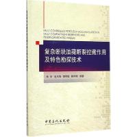 正版新书]复杂断块油藏断裂控藏作用及特色勘探技术朱平 等 编著